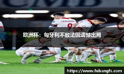 欧洲杯：匈牙利不敌法国遗憾出局