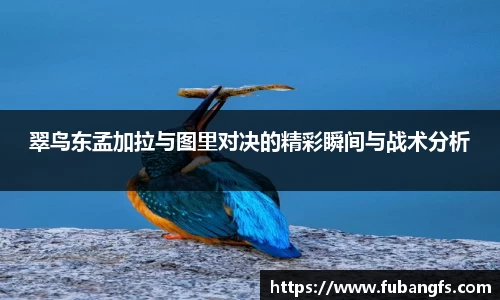 翠鸟东孟加拉与图里对决的精彩瞬间与战术分析